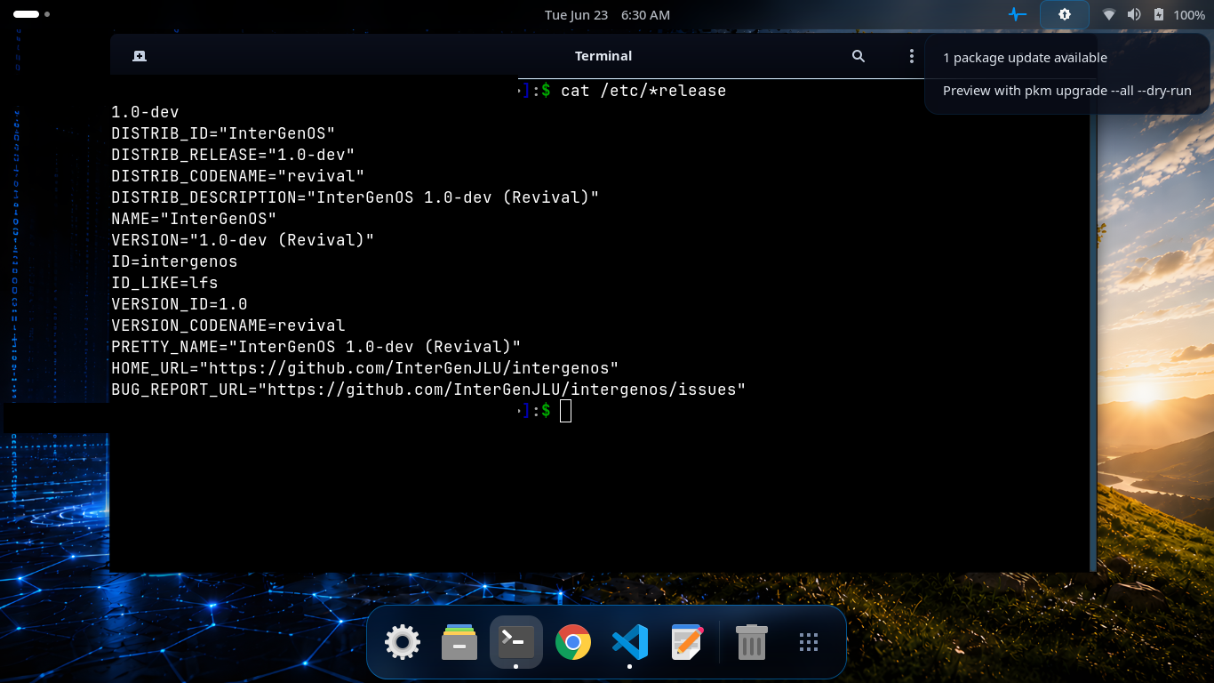 The GNOME top-bar update indicator on an InterGenOS desktop reading “1 package update available”, with a hint to preview the change using pkm upgrade –all –dry-run, above a terminal showing the InterGenOS 1.0-dev “Revival” os-release
